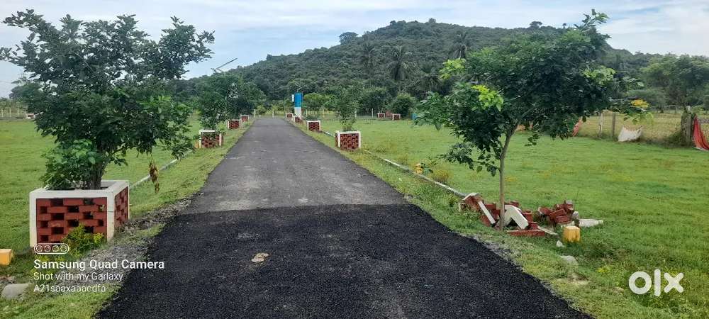North- East corner Dtcp approved plot for sale near Singaperumal koil