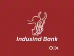INDUSIND BANK LTD