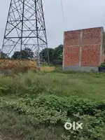 Fresh plot near bypass