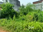 NA Plot Registry For Sale