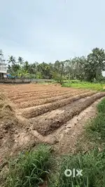 8 cent land for sale near Chamapanoor kavala, Angamaly