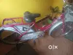 Girle cycle
