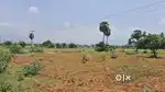 Agriculture|Farm land for sale in Periyakulam in Theni