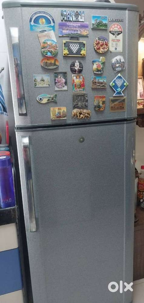 Samsung Double Door Refrigerator – 319 Litres