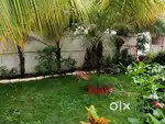 Mini Farm House for Rent – Prime Location  Peaceful Living