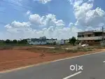 EXCELLENT DTCP MAIN ROAD FACE SITE SALE (250 MTRS FROM SIRUVANI ROAD)