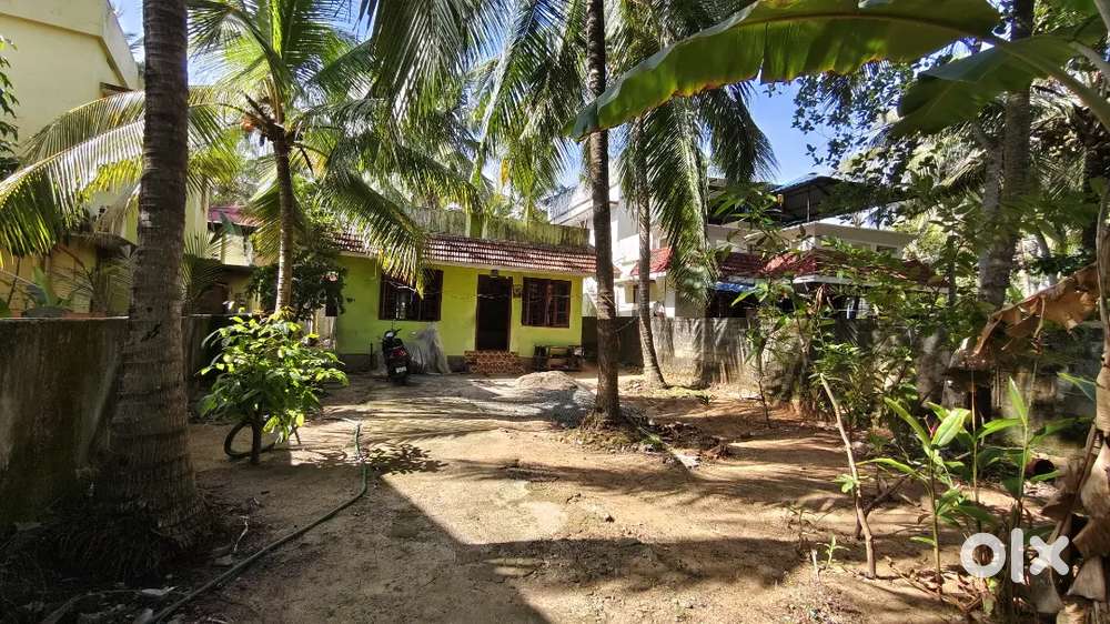 6.5cents land with 2bhk house for sale-Opp Airport T1,Price negotiable