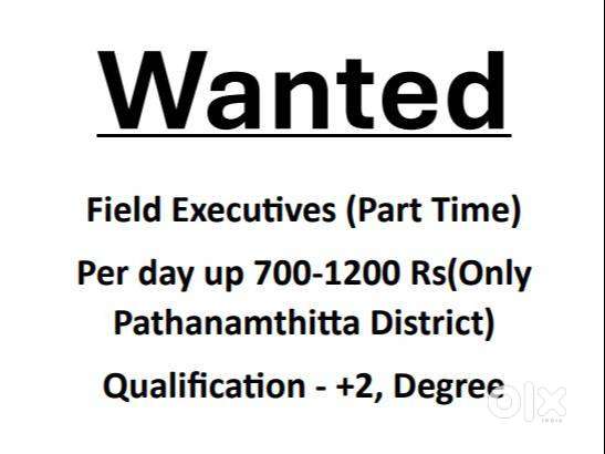 Area Sales Executive