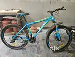 Tortoise 29t Gear cycle