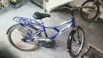Cycle for sell