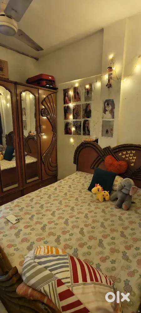 Flatmate Female PG single occupancy