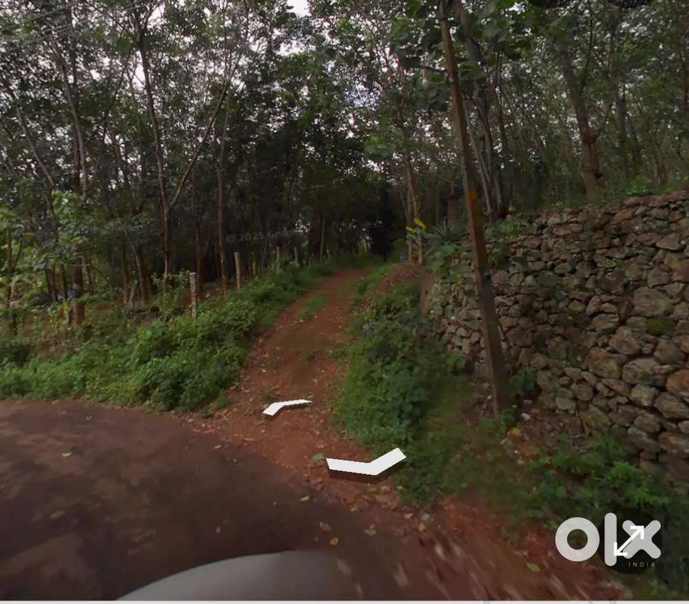 Rubber plantation 2.5 acres land for Sale