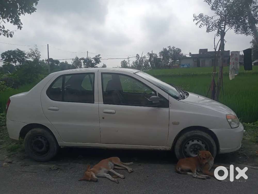 Tata Indigo CS 2013 Diesel 59000 Km Driven