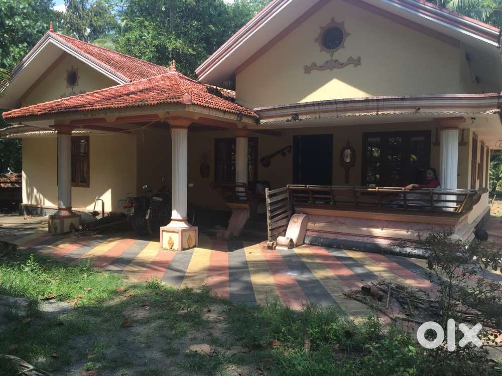 My own house and 2shops in the same plot