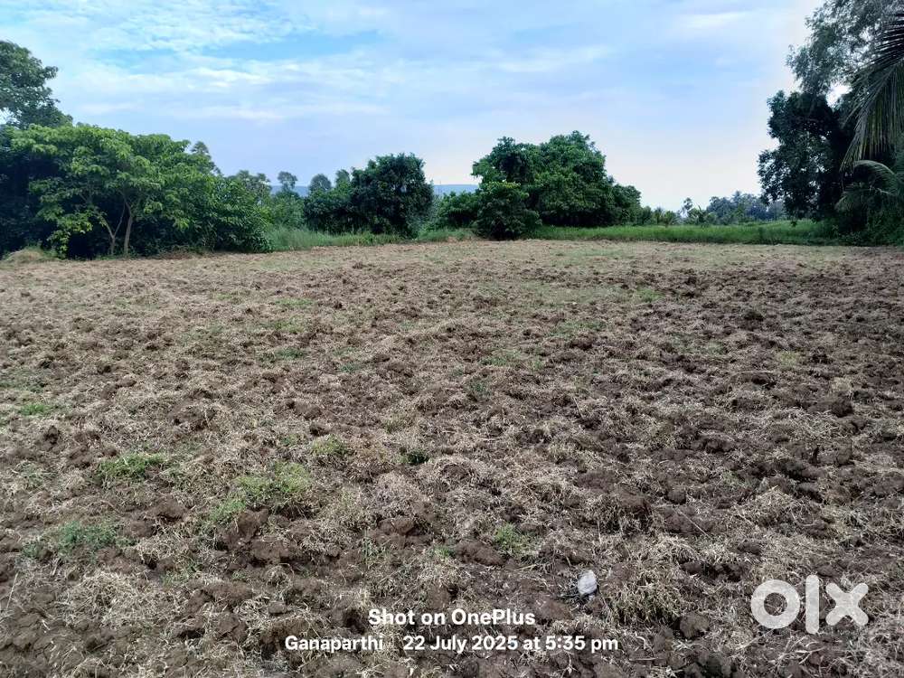 Agriculture Land for sale