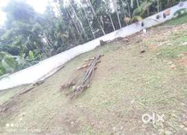 Cherai  main  jun 800 meter  distance