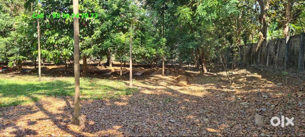 250 Cent Kecheri river side plot sale Thrissur Kunnamkulam  waterfront