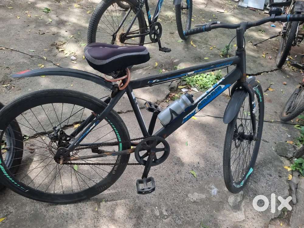 Hero scapin hybrid
