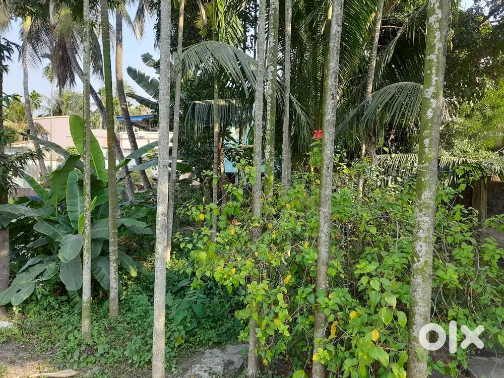 Halisahar Chowdhury Para and New Barui para