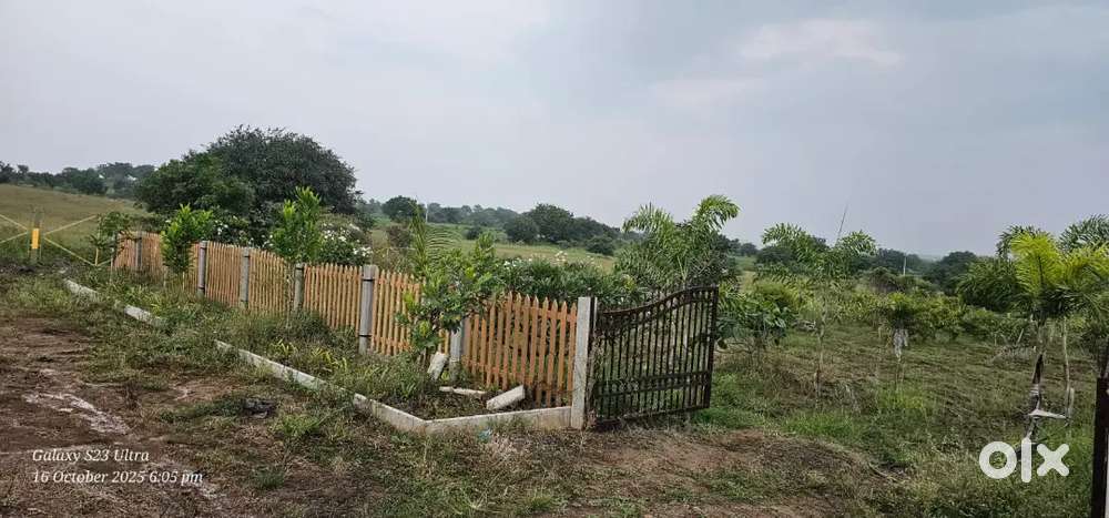 ASIAN FARM HOUSE PLOT FOR SALE ASIAN FUN WORLD BEHIND