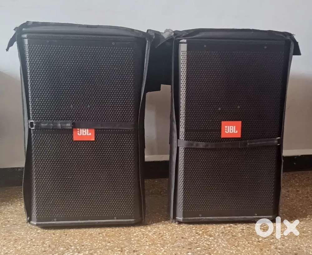 15 inch Professional Speaker for live shows.