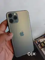Fresh condition