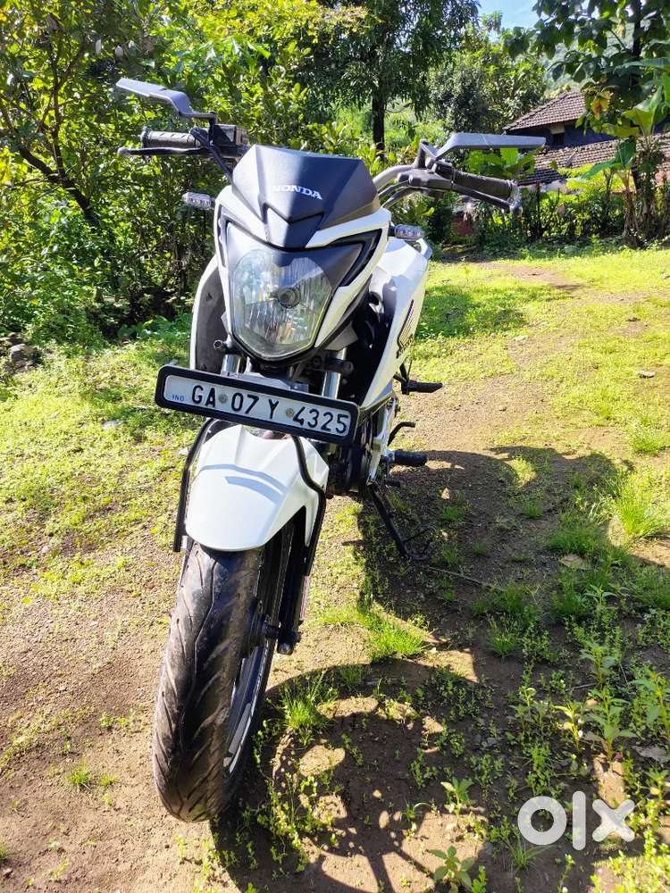 HORNET FOR SELL