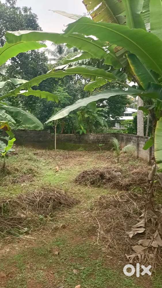 കുടപ്പനക്കുന്ന് ഇരപ്പുഴി 7സെന്റർ സെന്റിനു 8ലക്ഷം