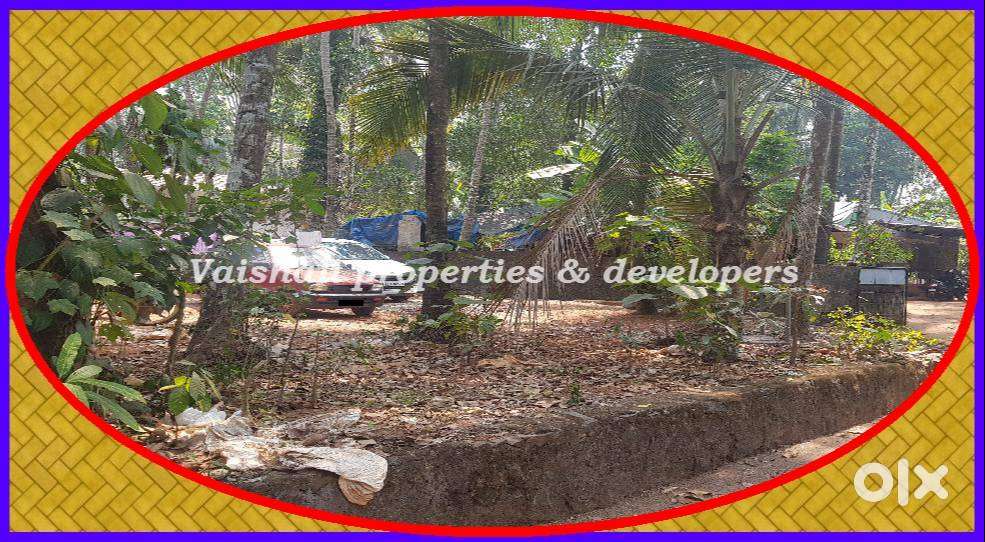 3 cents residential/commercial land near Puthiyara