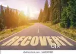 Bank recovery executive