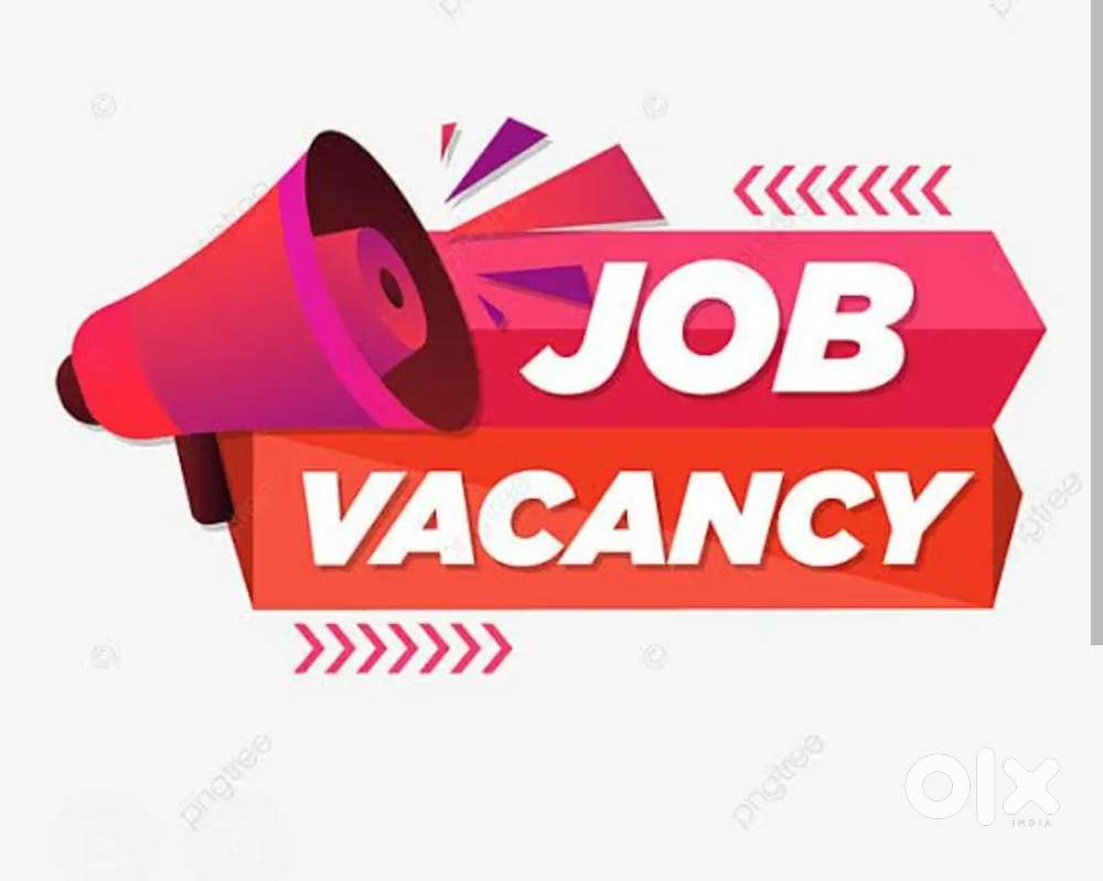 Needed female front office excetive and telecallers and manager