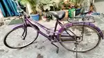 Ladies cycle