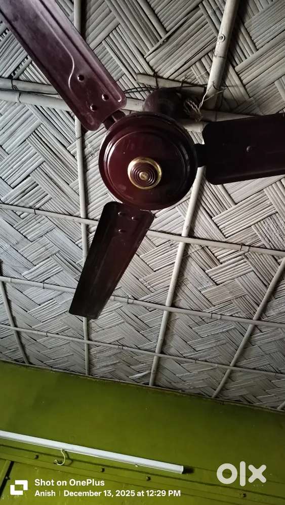 I'm selling my 3 nos branded fan havels crompton and pollar i