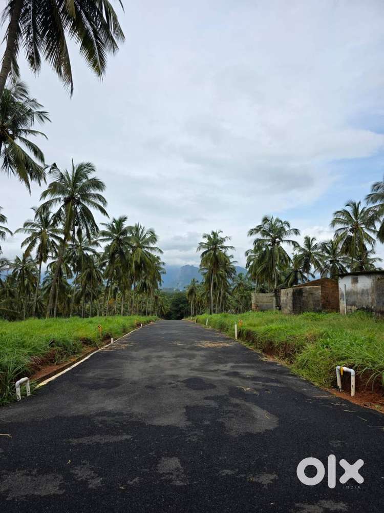 Premium plots for sale in Palakkad