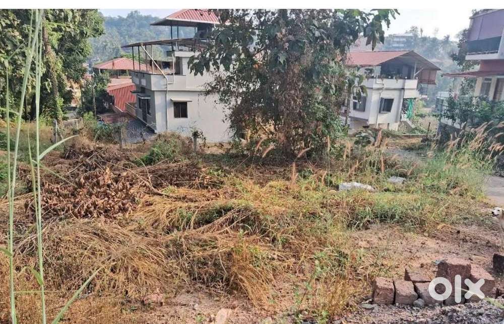 3 cents near derebail