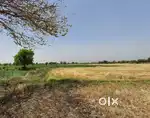 मालखरौदा छोटे सिपात में 18 डिसमिल जमीन(खेत) है