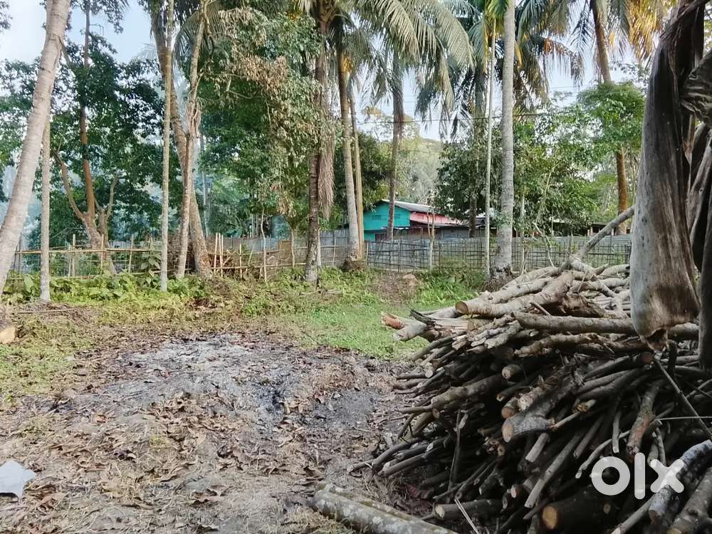 Plot for sale 2 kilometre distance from nalbari town