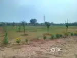 14500-29500 OPEN PLOTS AVAIL. IN HMDA AND NON GATED NEARBY ECIL