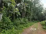 20 cent plot for sale