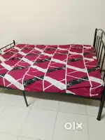 Bed cot Queen sized.