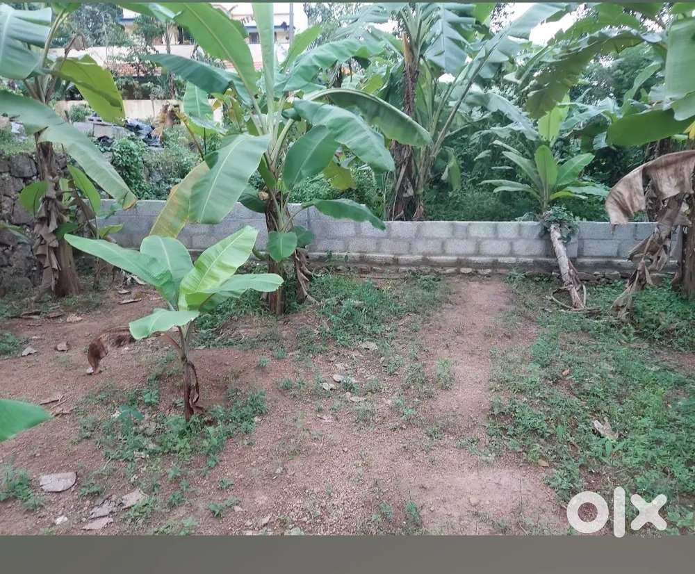 House Plot for Sale near Enikkara
