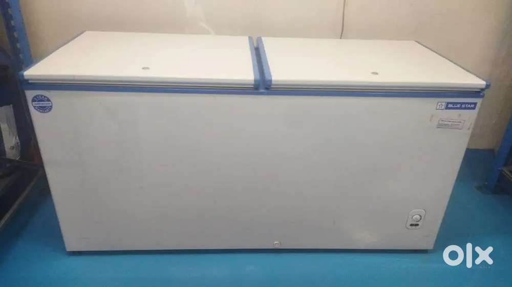 Blue star Deep freezer for sale in excellent condition