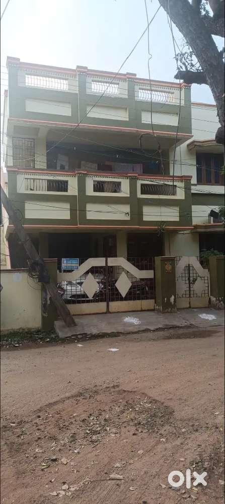 Looking for bachelors mens