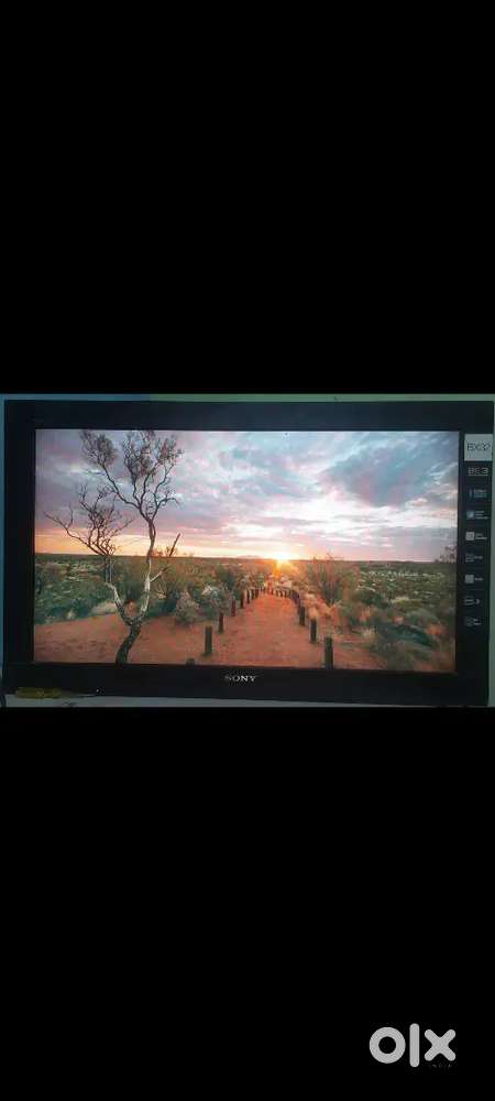 I got a new TV