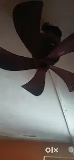 Fan very fast