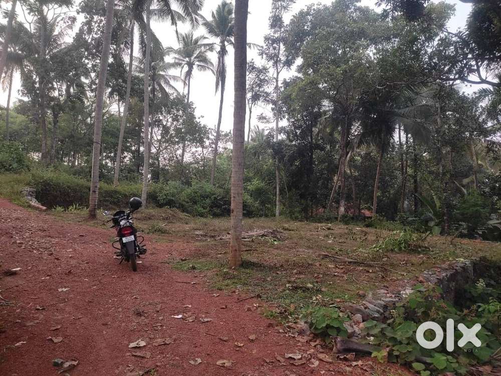 plot for sale at Koodathumpoyil Kakkodi