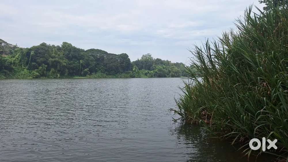 29 Cent Periyar Waterfront Land For Sale Aluva