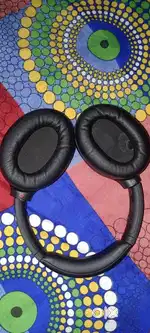 SONY earphone