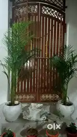2 bhk flat for rent at mahavir colony beur,with car and bike parking