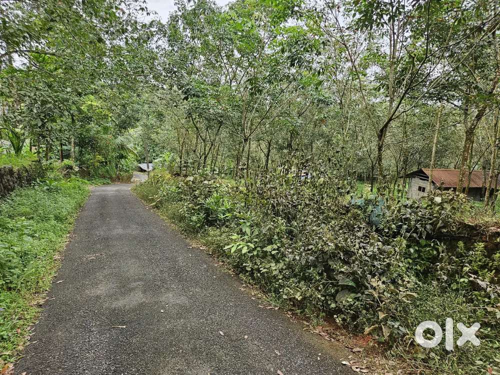 7.5 Acre rubber purayidom near Kuravilangad Kuruppunthara  35 lak neg.